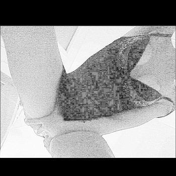 Emna - Chapelle-lez-Herlaimont - Hainaut | Rencontre Mature