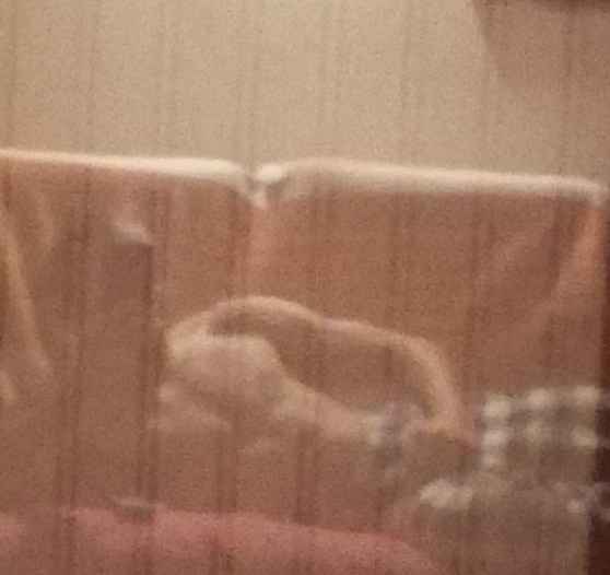 Hayan - Kruisem - Flandre orientale | Rencontre Mature