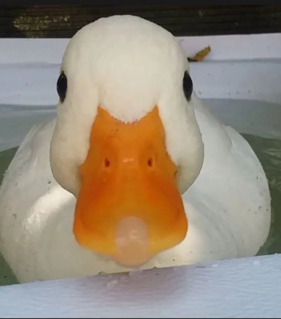 Schilo - Spa - Liège | Rencontre Mature